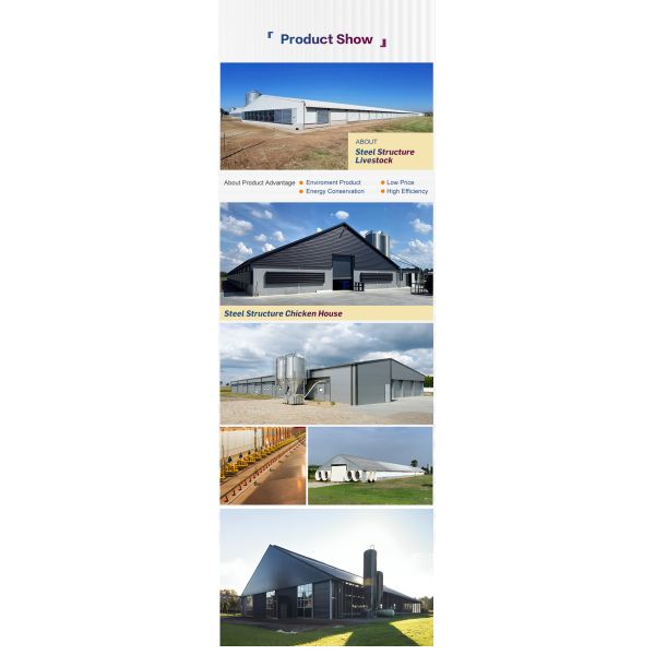 Flexible Design Steel Structure Chicken House With Great Thermal Properties And Low Maintenance