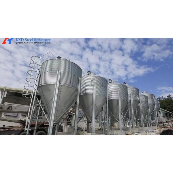 Fast Build Steel Structure Poultry Shed Construction Customized