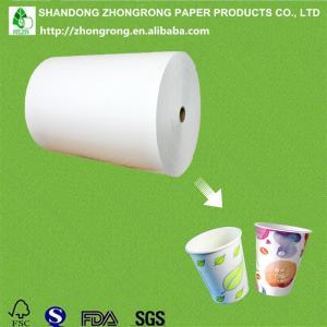 China PE coated paper mill on sale