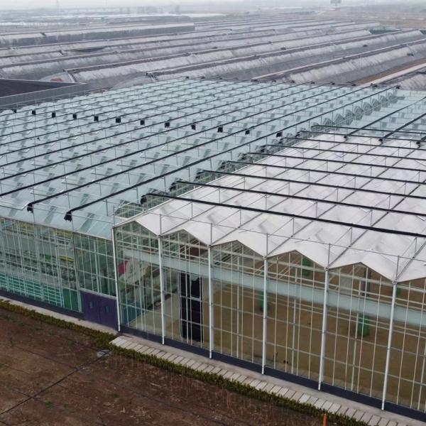 Customized Request for Drip Irrigation Glass Greenhouse Commercial Greenhouse Setup
