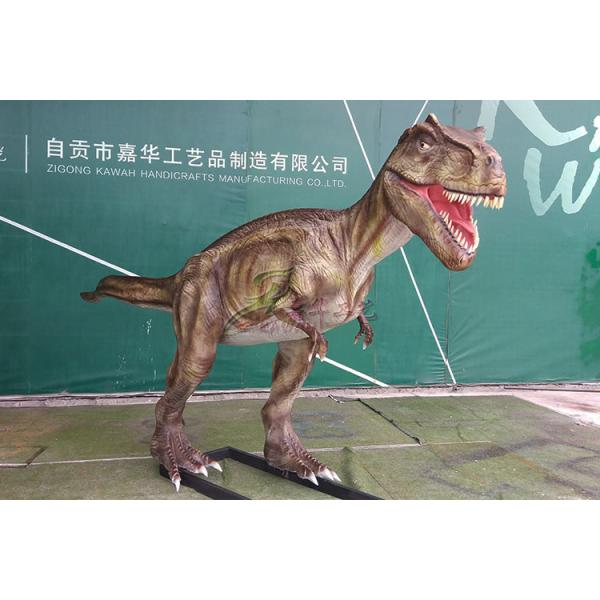 Simulation Life Size Dinosaur Models For Show Museum Customization Acceptable