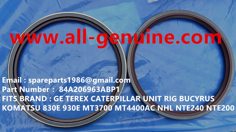 84A206963ABP1 SEAL