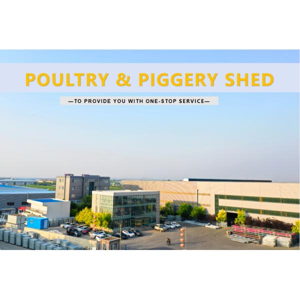 Modern Poultry Cage Customized Hot Dip Galvanized Steel Layer Poultry Cages
