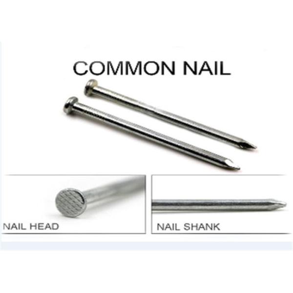 2 Inch length Flat Head polished common nails for building