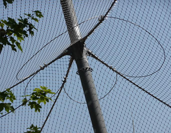 1.5" × 1.5" Opening Stainless Steel Aviary Netting Light Weight Aisi 304