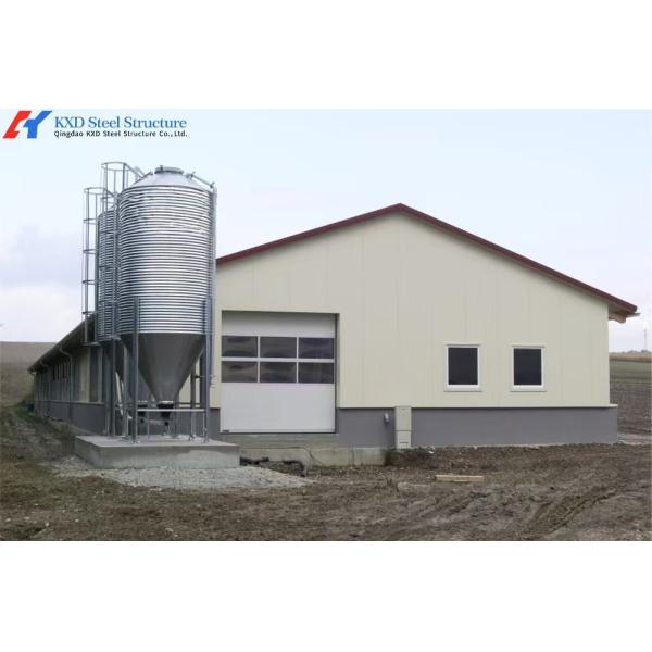 Weather Resistant Steel Chicken Coop with Fast Installation and Modular Structure for Poultry Farming