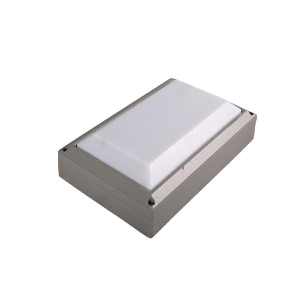 Flush mount led ceiling light waterproof 20W Lights For Outdoor IK10 IP65 LED Wall lamp