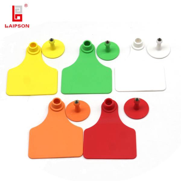 Middle Marked Identification Tpu Visual Ear Tag For Cattle Horse Camel Cow