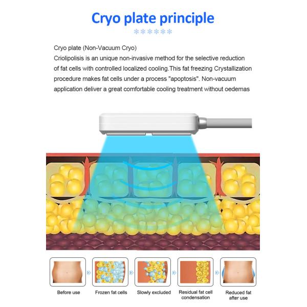EMS Coolsculpting Cryolipolysis Machine Cryotherapy Cryo Machine For Fat Freezing