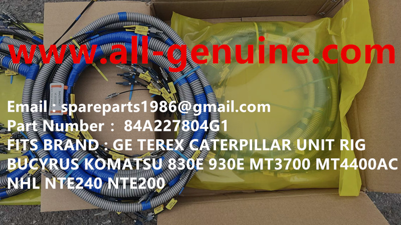 84A227804G1 FIBER CABLE