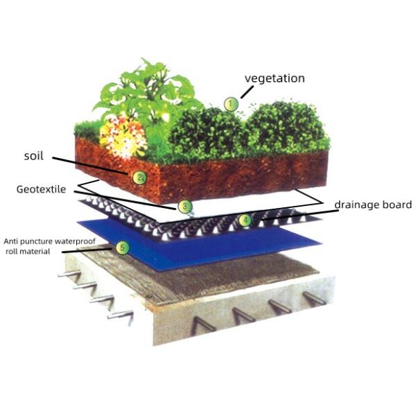 Plastic Dimpled Foundation Membrane for Waterproofing and Drainage System Installation