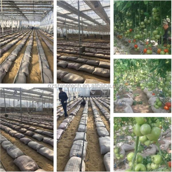 Super Strong Resistance Agriculture Multispan Greenhouse Frame for Growing Vegetables