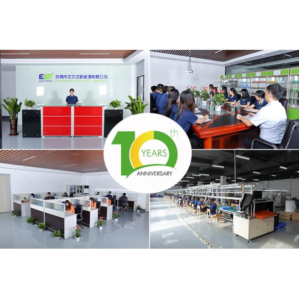 Lithium LiFePO4 12.8V Battery Lithium Iron Phosphate Battery Pack