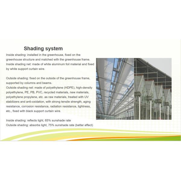 Customized Size Intelligent Greenhouse Vegetable Growing Greenhouse