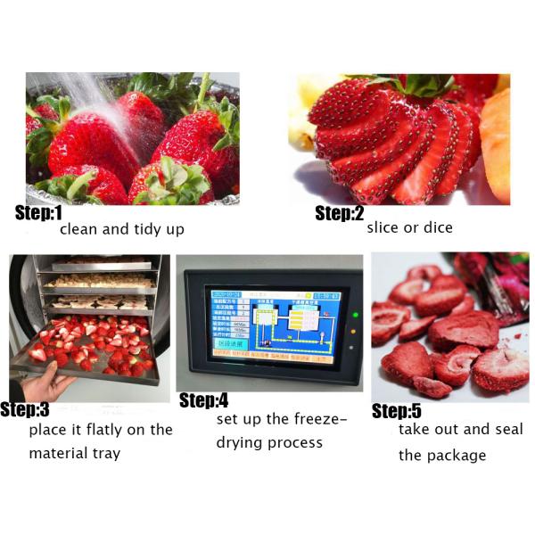 Industrial Lab Home Mini Freeze Dryer Instant Coffee Herb Flowers Food Lyophilizer