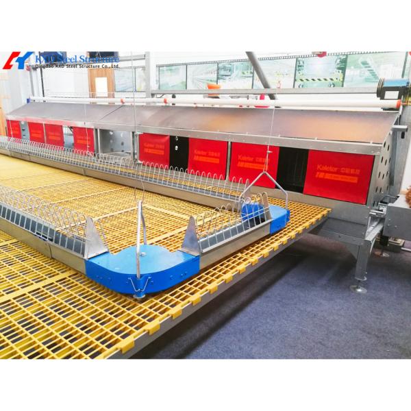 Poultry Steel Frame Prefab House Automatic Broiler Chicken Farming Equipment