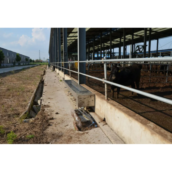 Modular Quick-Assembly Windproof Waterproof Low-Maintenance Steel Poultry House and Livestock Steel Shed