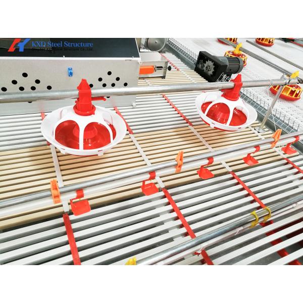 Steel Structure Poultry Shed for Broilers and Layers