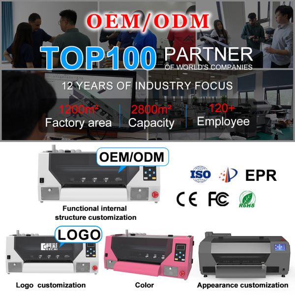 KECAI Customized A3 33cm Dual Head XP600 Transfer DTF Printer With RINN Software and Suction Platform for Fabric Printing