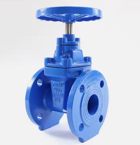 Manual Non-Rising Stem Gate Valve with Concealed Stem for Drainage Systems - Corrosion Resistant Flanged Forged Steel