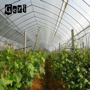 Buy cheap 60gsm High Tensile Strength Insect Mesh Netting For Disease Prevention product