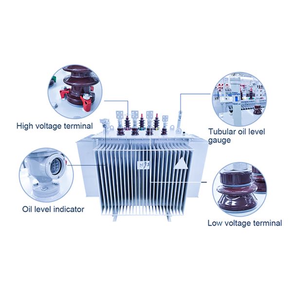 50kVA Double Winding Oil Immersed Transformer Variable Voltage Step Down Power Transformer