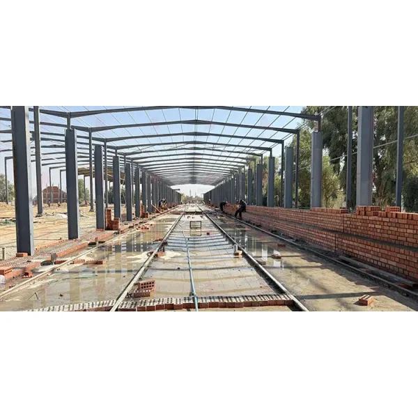 Brictec Clay Brick Production Line Showcase Customized Clay Brick Kiln Turn-Key