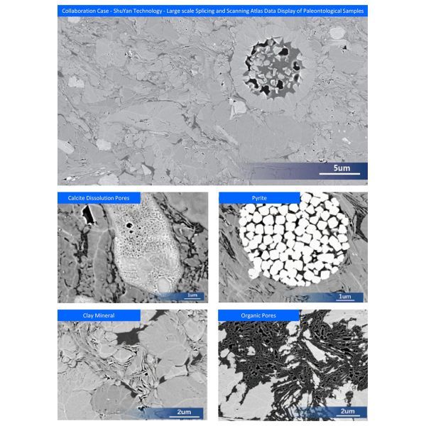 OPTO-EDU A63.7235 High-Throughput Field Emission Scanning Electron Microscope 12KV 600000x
