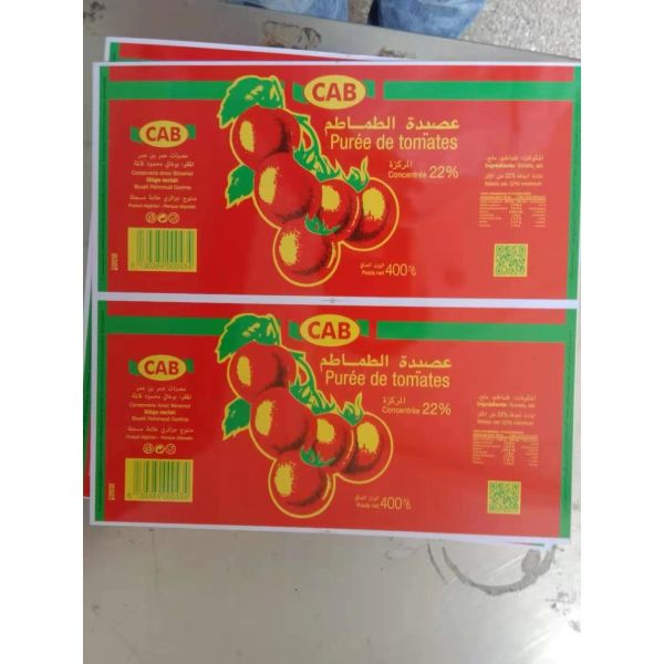 SPTE / ETP Corrosion-Resistant Tinplate Coils For Food Storage And Transportation