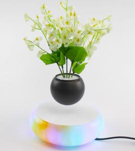 China colorful led light magnetic levitation air bonsai plant pot tree succulent on sale