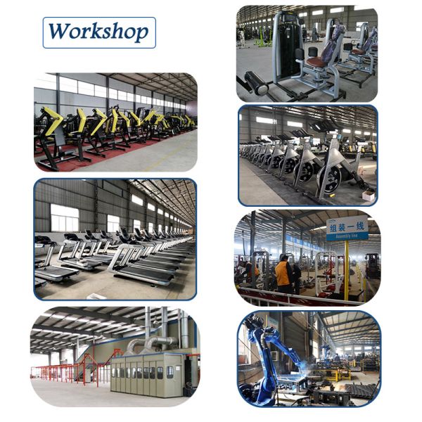 Multifunctional Commercial Gym Equipment Matrix Strength Q235 Steel Frame
