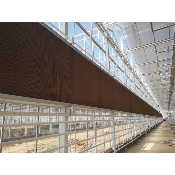Hydroponic Venlo Glass Greenhouse Customizable