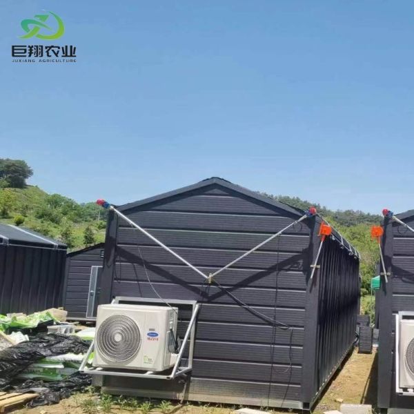 Reefer Container Greenhouse Leafy Vegetables