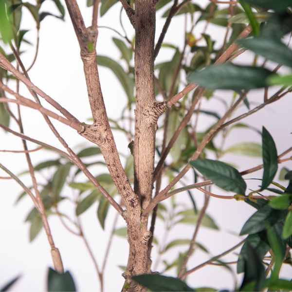 Artificial Olive Tree Indoor - Realistic Faux Olive Trees Wholesale for Home & Office