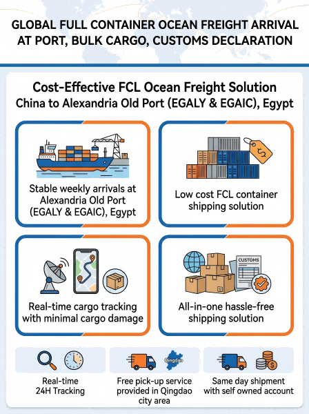 Cost-Effective FCL Ocean Freight with 24/7 Multilingual Support and Stable Transit Schedules to Alexandria