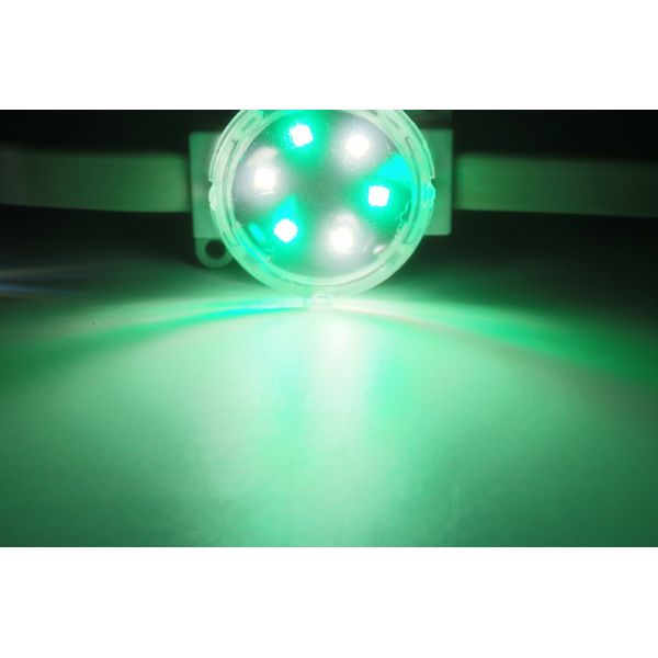 Miracle Bean SMD 3535 2W 24V IP67 RGBW LED Pixel