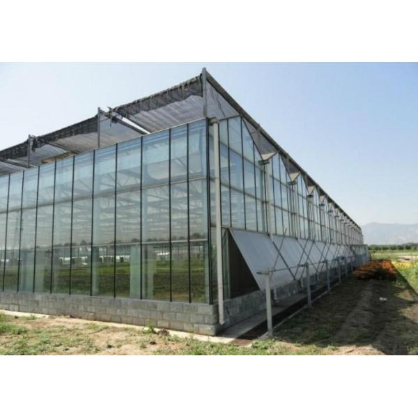 10.8m Cucumber Glass Greenhouse Intelligent Automatic Control
