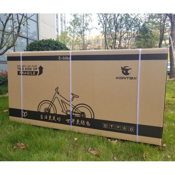 Disc Brake Electric Bike 2022 Version Snow Beach Fast Speed Customized E Bicycle 2 Seats