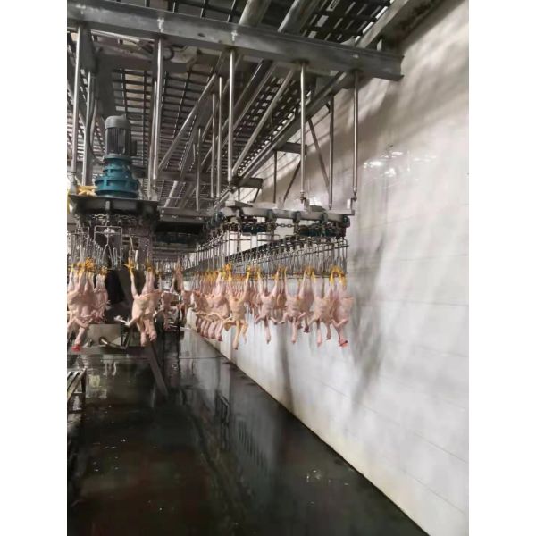 3000BPH Duck Slaughter Machine 380V / 220V Poultry Processing Equipment