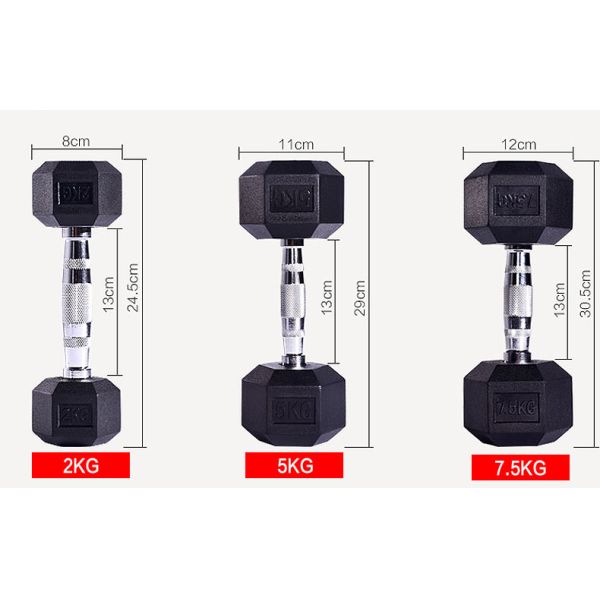 2.5kg 5kg 7.5kg 10kg Cast iron Black Rubber Coated Hex Fixed Dumbbell