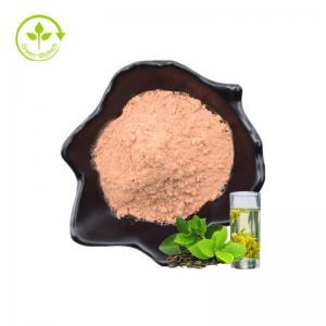 China Green Tea Extract Food Antioxidants Relieves Allergies Tea Polyphenols EGCG Powder on sale