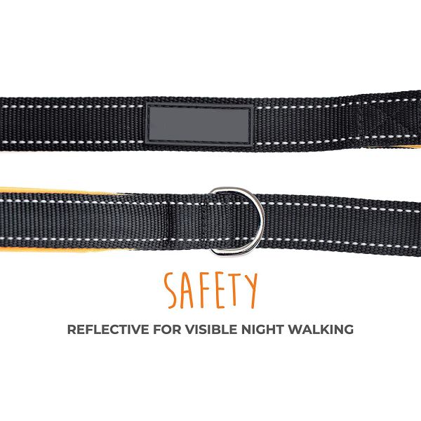 6 Feet Two Handle Dog Leash Nylon Material With Traffic Handle / Carabiner Clip