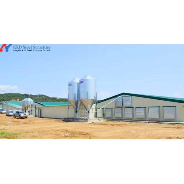 Steel Structure Broiler Poultry Equipment , Poultry Automatic Feeding System