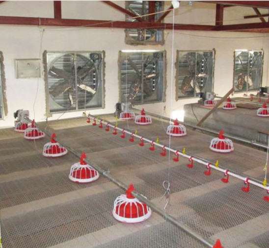 Plastic And Stainless Steel Poultry Pulley For Drinking Line Feeding Line