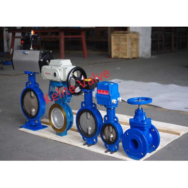 CS SS Dual Eccentric Butterfly Valve / Double Offset Butterfly Valve