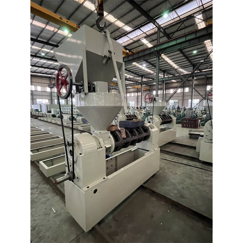Large Capacity Automatic Feeding System Machine Commerical Cold Press Machine Black Sesame Oil Press Coconut Oil Expeller