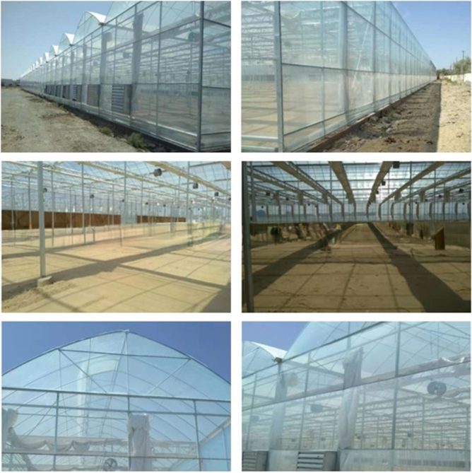 Super Strong Resistance Agriculture Multispan Greenhouse Frame for Growing Vegetables