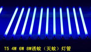China High Quality 4W 6W 8W UV Tube Mosquito Killer Lamp T5 on sale