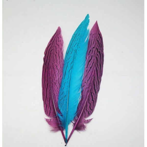 Carnival Costumes Silver Pheasant Feather Hat Decoration with Dyed Patterned Feather