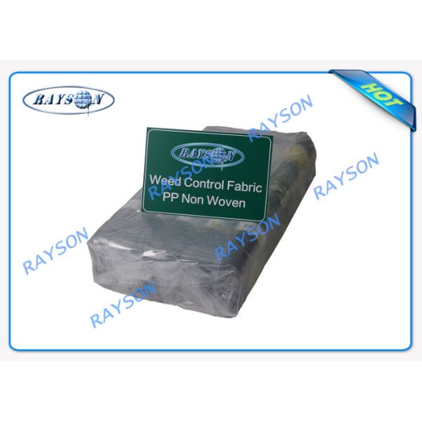 Enviro Vegetable Garden Weed Barrier Agriculture Non Woven Cover Ground Weed Control Fabric